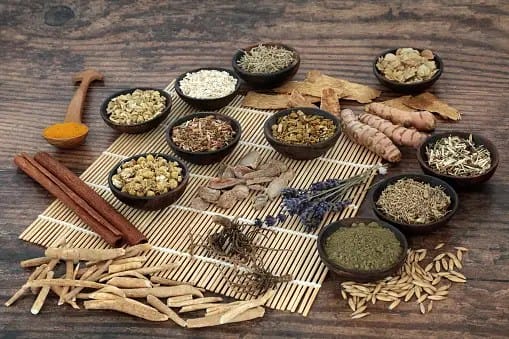 25 Simple Medicinal Herbs to Know and Use Now