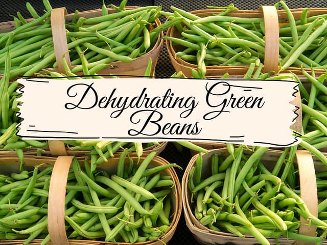 Dehydrating Green Beans
